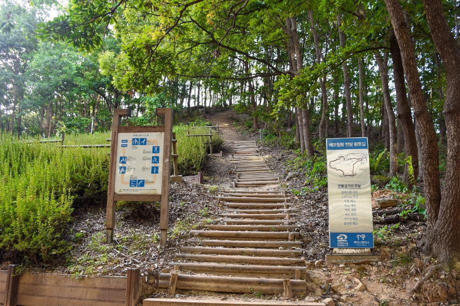 천안 부엉공원 에코힐링 맨발 황톳길 걷기
