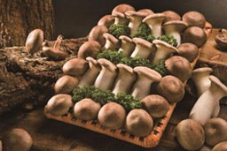 Cheonan Mushroom